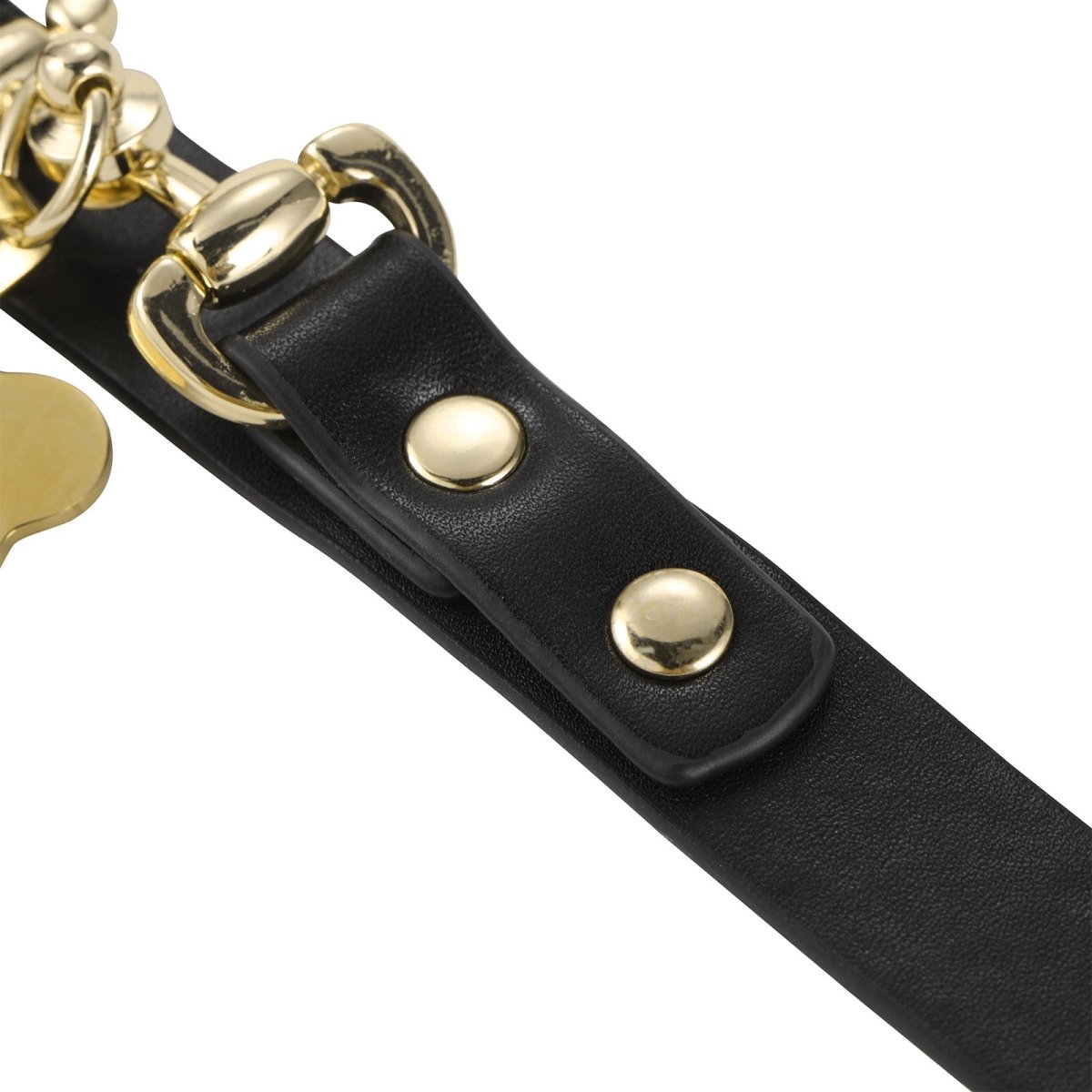 Landofgenie Adjustable PU Leather Decorative Collar - landofgenie
