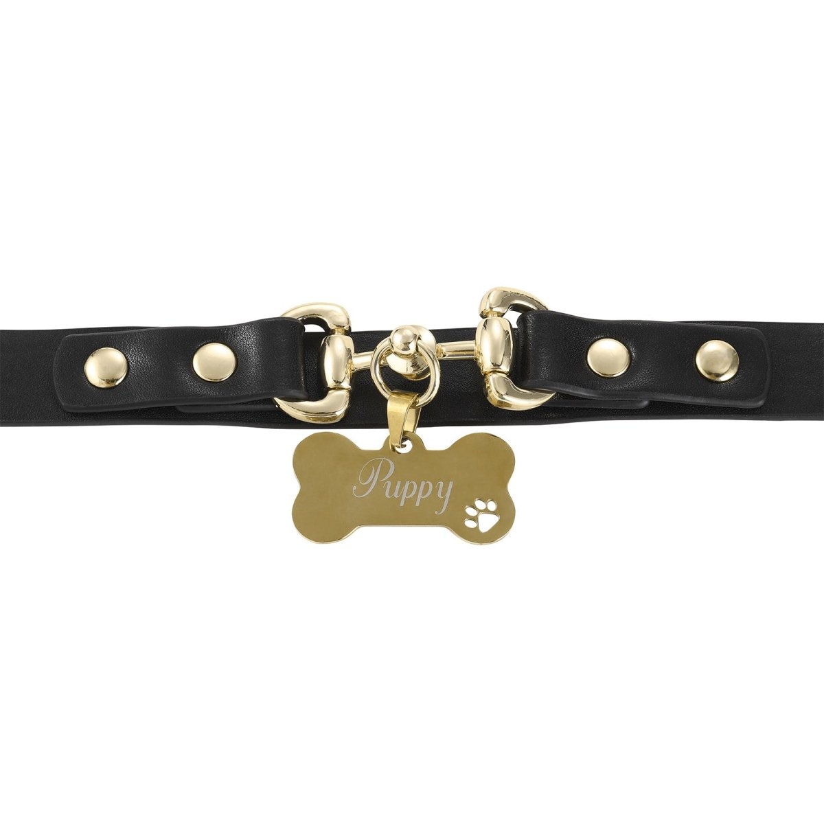 Landofgenie Adjustable PU Leather Decorative Collar - landofgenie