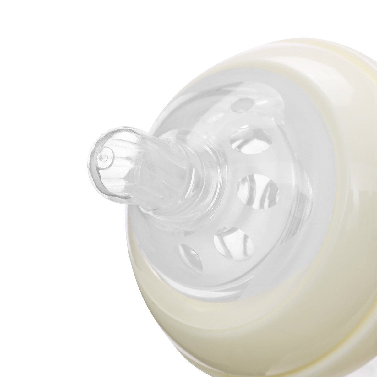 Landofgenie Cute Adult Glass Bottle - Amusement Park - landofgenie