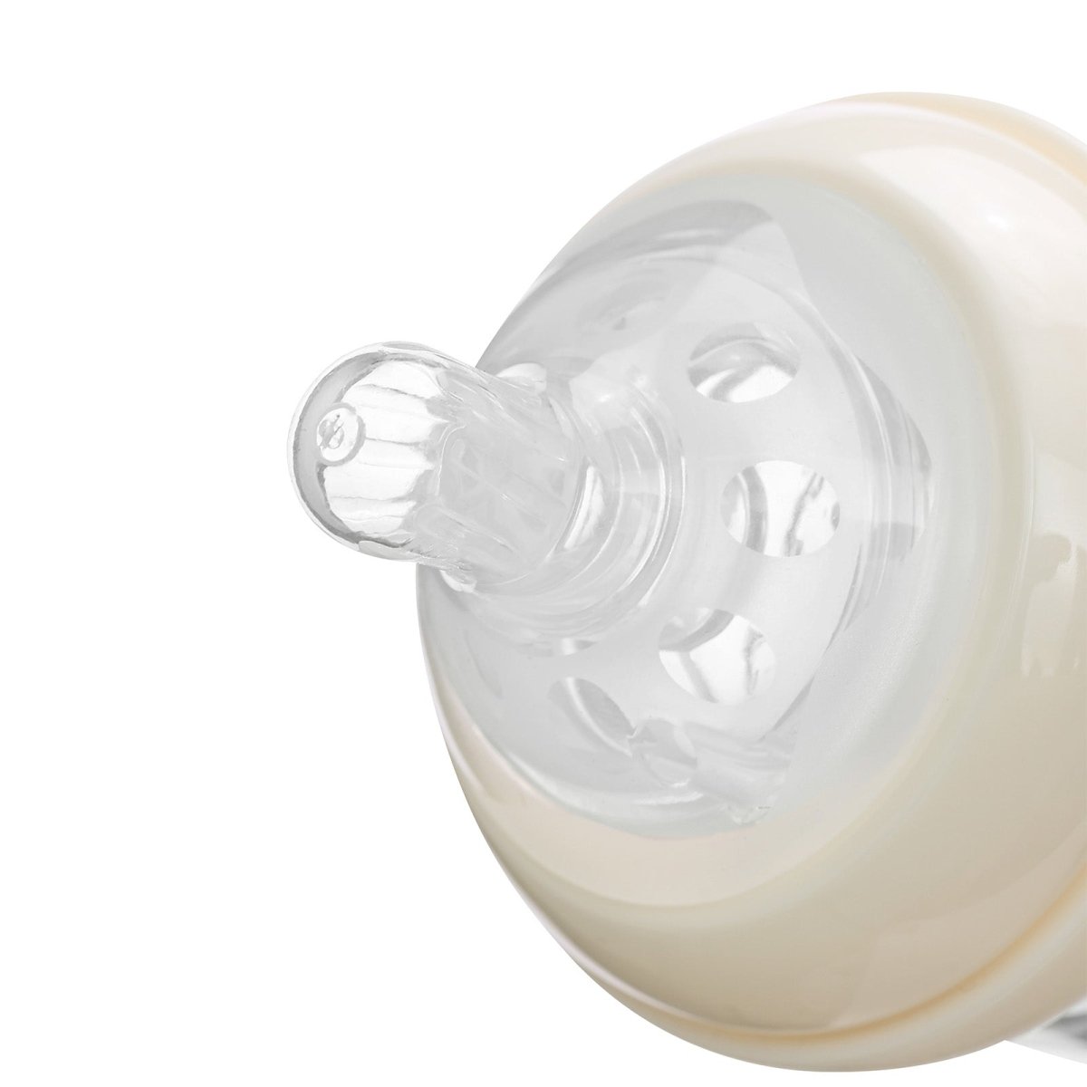 Landofgenie Cute Adult Glass Bottle - Ancient Dinosaurs - landofgenie