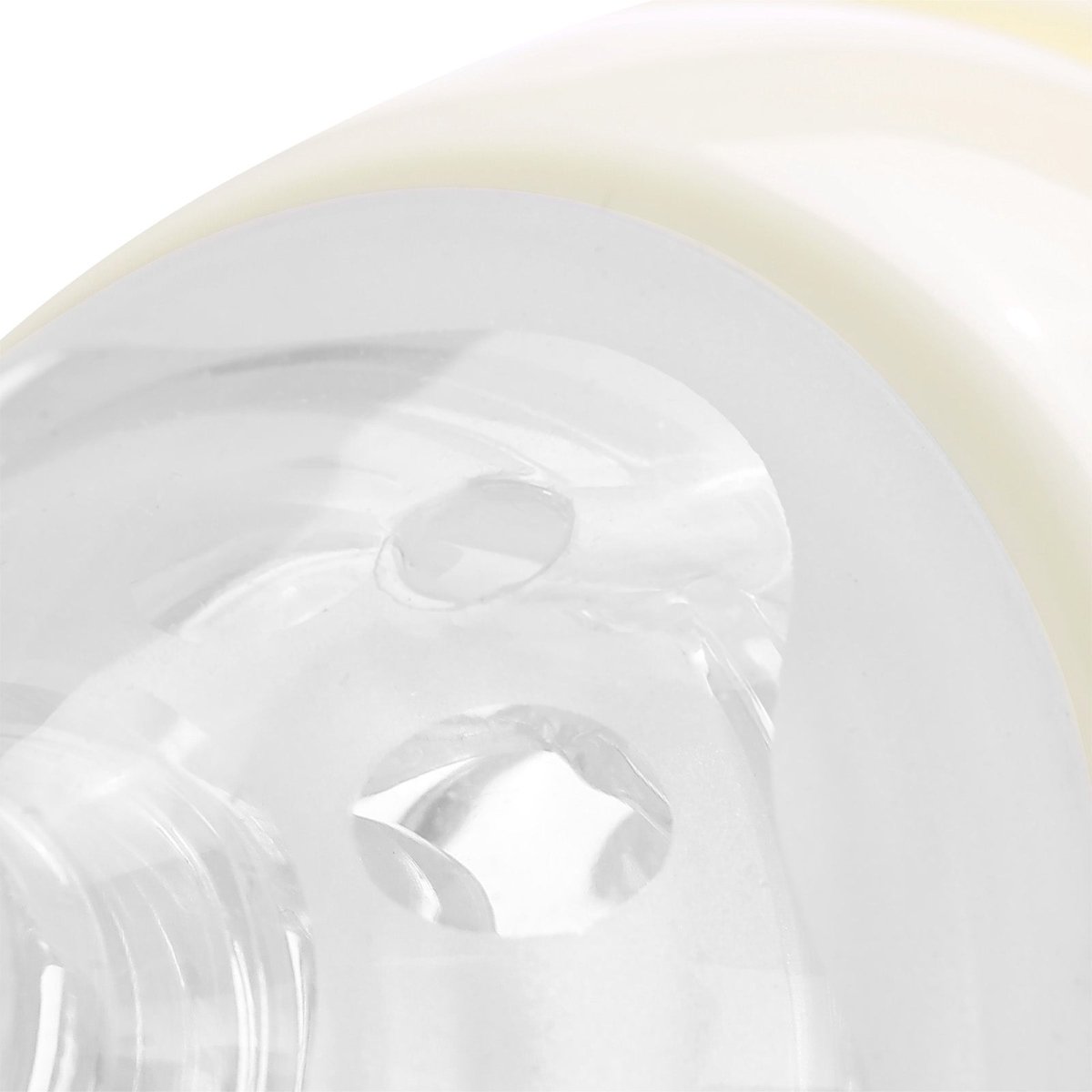 Landofgenie Cute Adult Glass Bottle - Ancient Dinosaurs - landofgenie