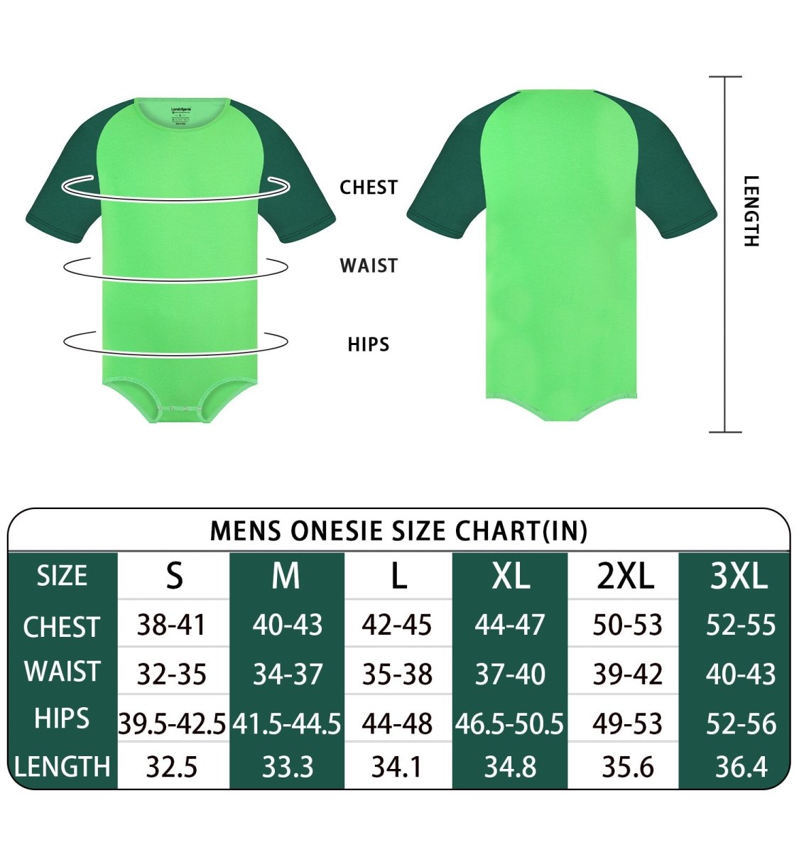 Landofgenie Men Raglan Sleeve Design Bodysuit - Green - landofgenie